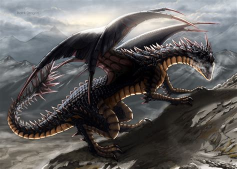 black dragons - school of dragons